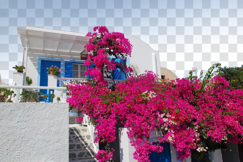 Aegean Sea Greece Wall Landscape Architecture - Love The Of ​​the Plum Transparent PNG