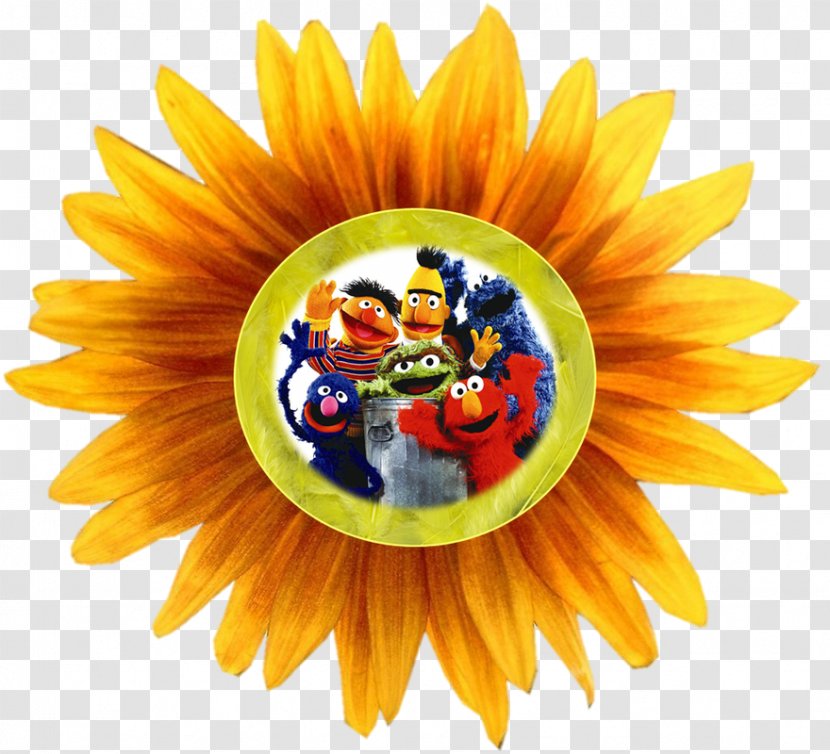 Common Sunflower Clip Art - Flower - Petal Transparent PNG