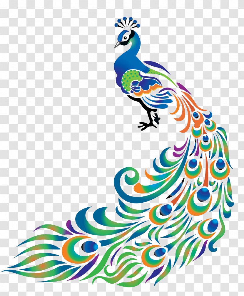 Peafowl Feather Clip Art - Cartoon - Sarawati Transparent PNG