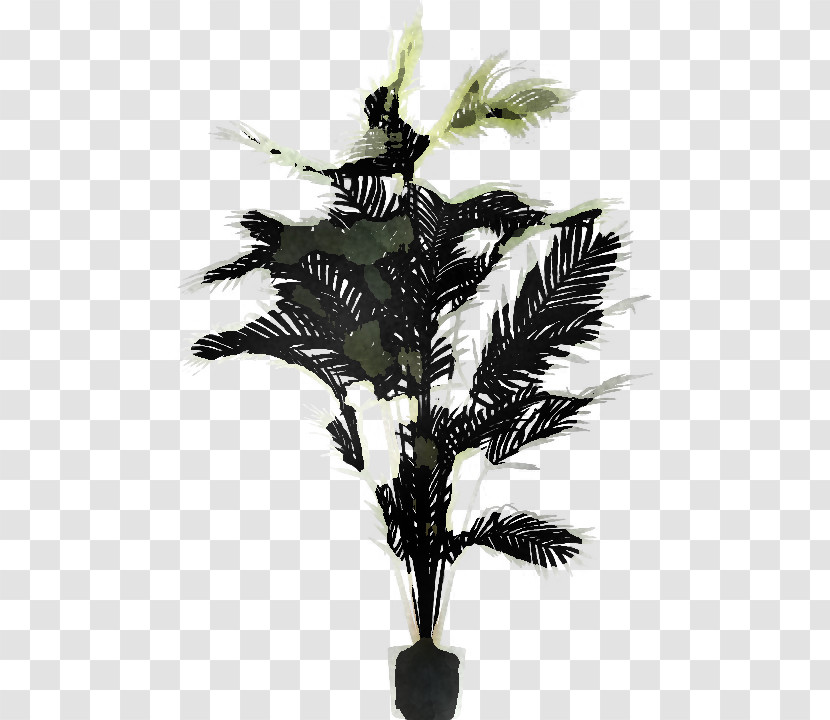 Palm Tree Transparent PNG