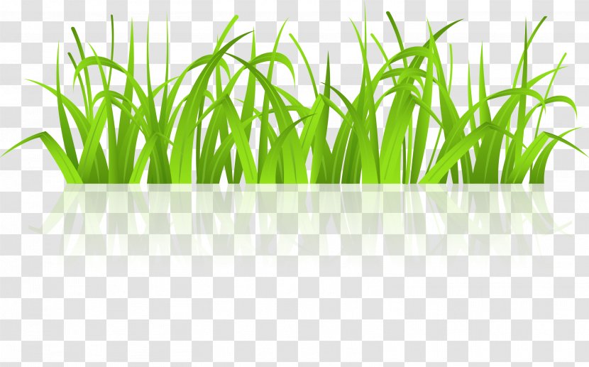 Free Content Clip Art - Commodity - Vector Fresh Green Grass Transparent PNG