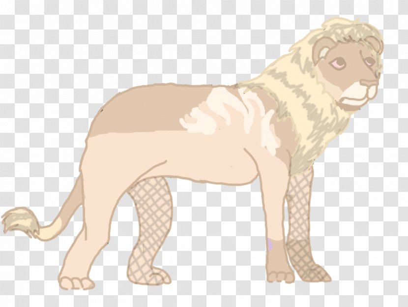 Cat Dog Breed Tiger Lion - Neck Transparent PNG