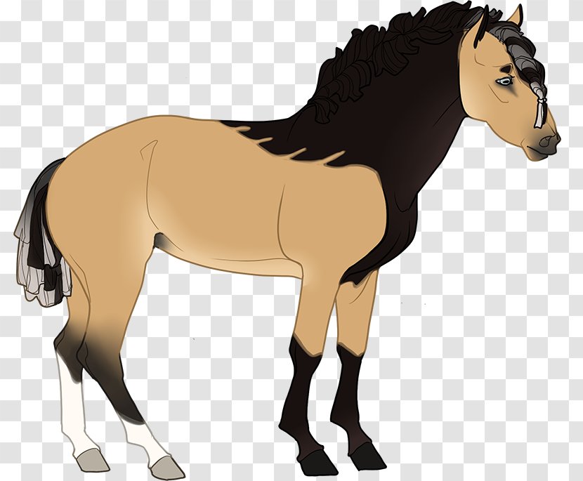 Foal Stallion Mare Colt Mustang - Saddle Transparent PNG