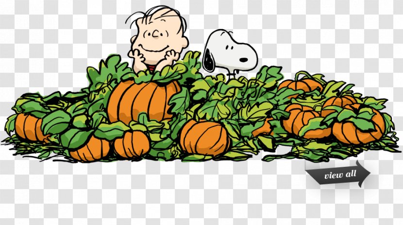 Snoopy Great Pumpkin Charlie Brown Linus Van Pelt Pig-Pen - Calabaza - Peanuts Transparent PNG