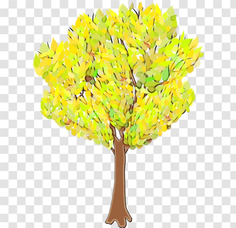 Autumn Leaf Drawing - Tree - Plant Stem Plane Transparent PNG