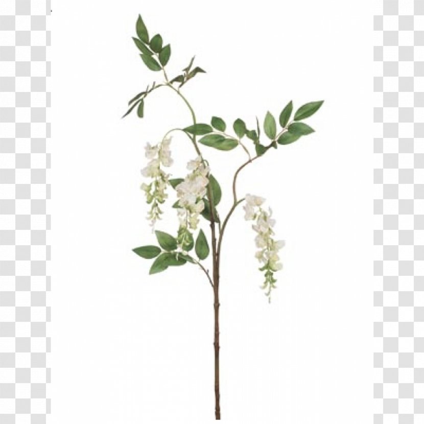 Flower Branch Twig Plant Stem Tree - Leaf - Wisteria Transparent PNG