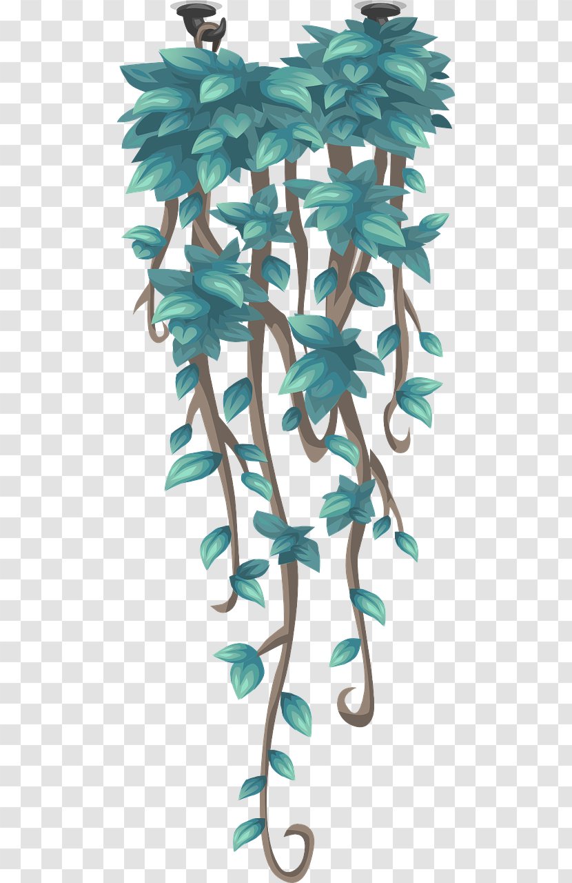 Plant Vine - Tree Transparent PNG
