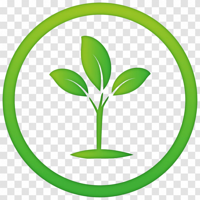 Green Grass Background - Plant Stem Transparent PNG