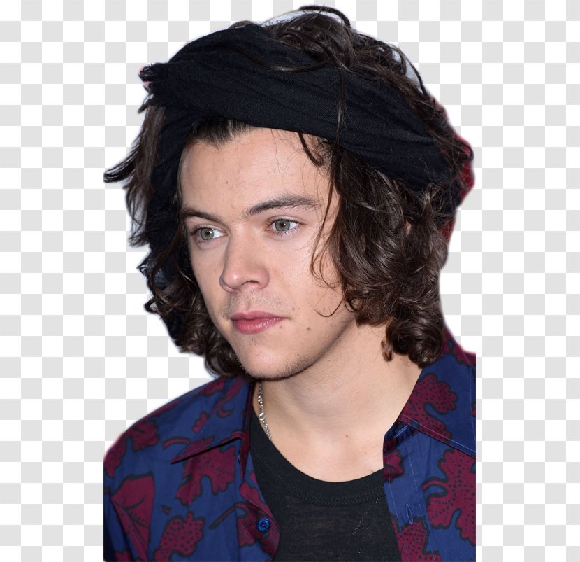 Harry Styles Photography Black Hair Transparent PNG