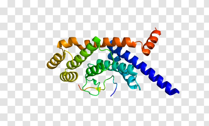 TINF2 TERF1 Shelterin Gene Telomere - Silhouette - Flower Transparent PNG