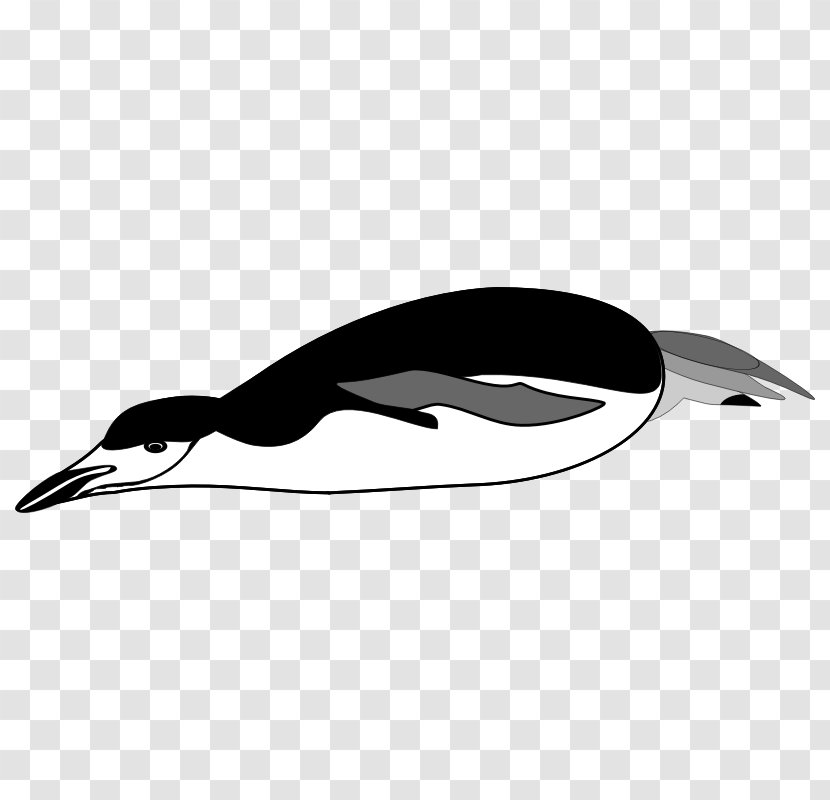 Penguin Drawing Clip Art - Fauna Transparent PNG