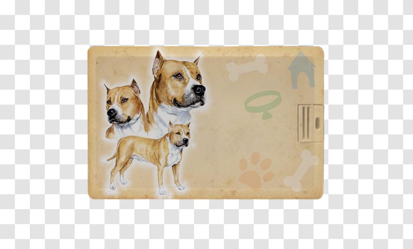 Dog Breed American Pit Bull Terrier Puppy Staffordshire Maltese Transparent PNG