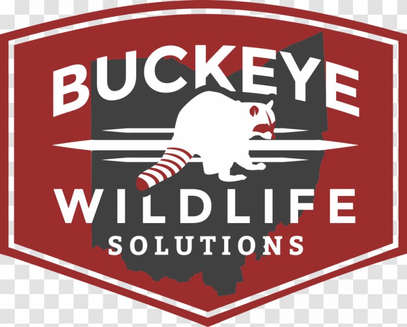 Buckeye Wildlife Solutions Reynoldsburg Columbus Animal Control And Welfare Service Nuisance Management - Banner - Raccoon Transparent PNG