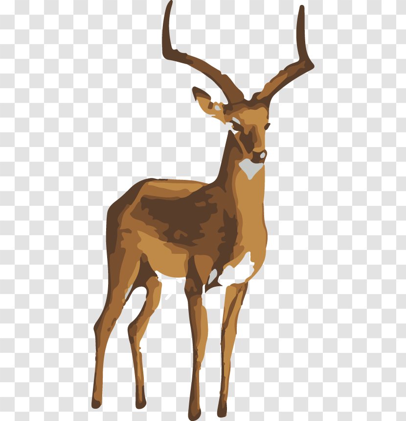 Elk Deer Art Painting - Fauna - Elk,deer Transparent PNG