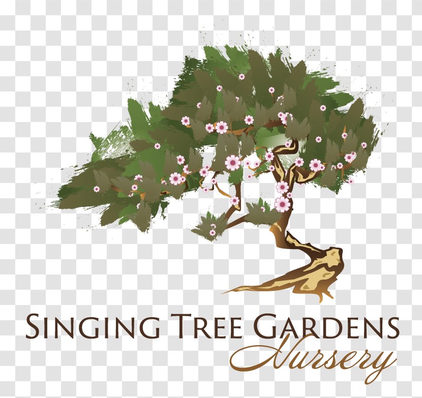 Tree Garden Mediterranean Cypress Conifers Nursery - Flowering Plant Transparent PNG