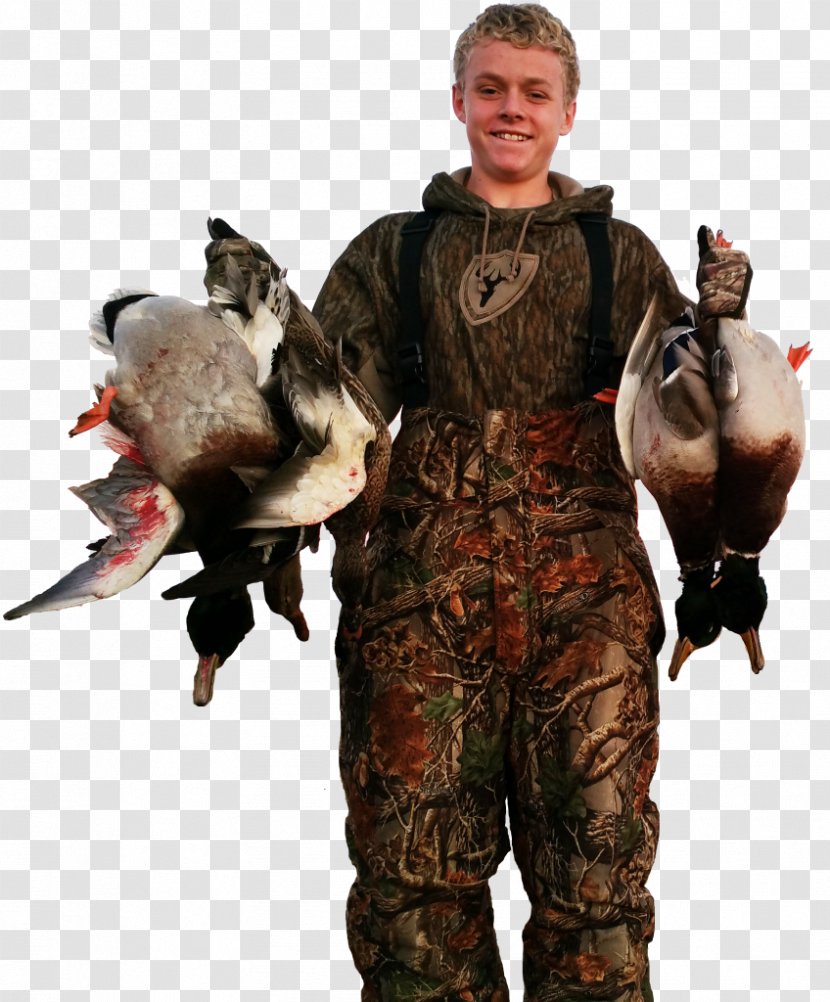 Duck Lac Qui Parle County, Minnesota Hunting Mallard - County Transparent PNG