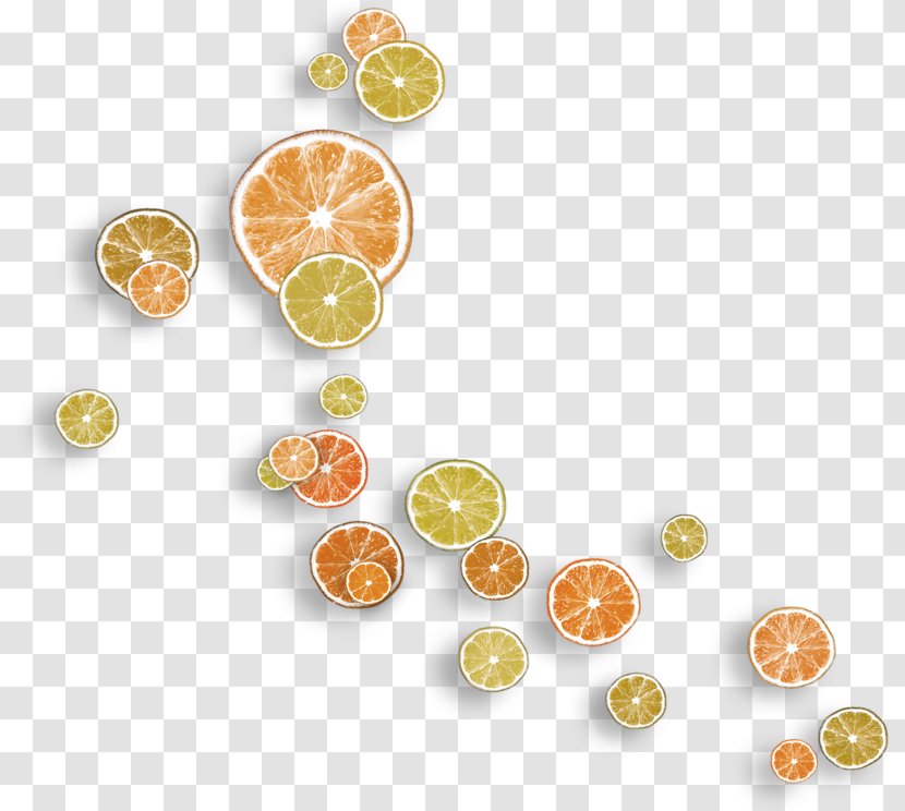 Lemon Mandarin Orange - Body Jewelry - Oranges Slices Floating Material Transparent PNG
