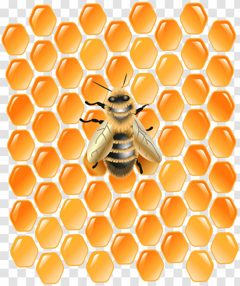 Honey Bee Honeycomb Clip Art - Orange - Clipart Transparent PNG