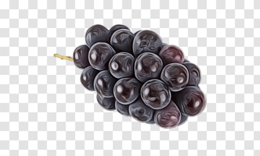 Fruit Grape Plant Vitis Food - Olive - Grapevine Family Transparent PNG