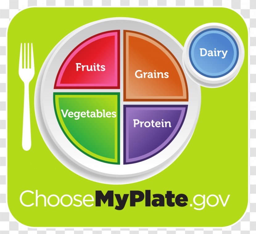 MyPlate Diet Food Pyramid Nutrition Group - Operating System - Obesity Transparent PNG