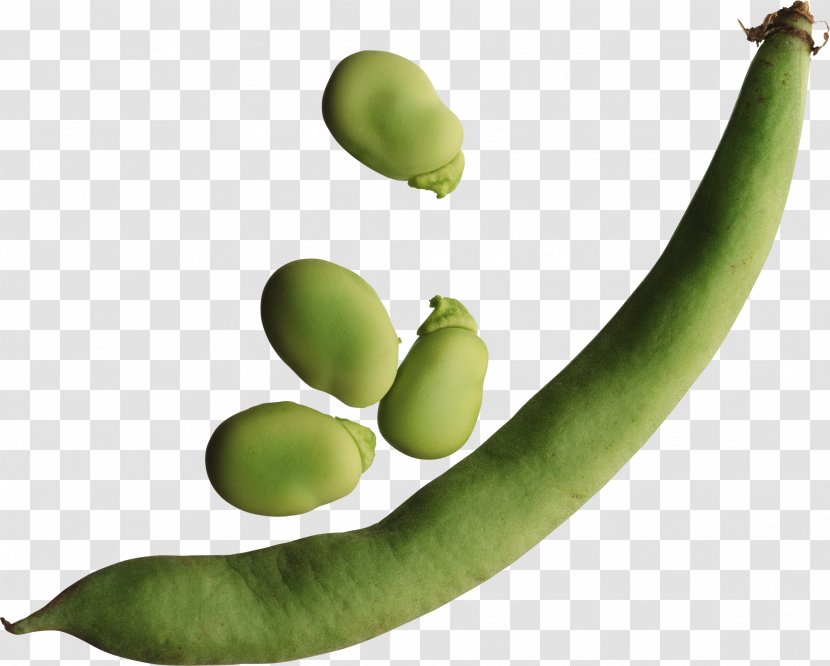Chakhokhbili Common Bean Pea Food Kidney - Fruit - Black Beans Transparent PNG