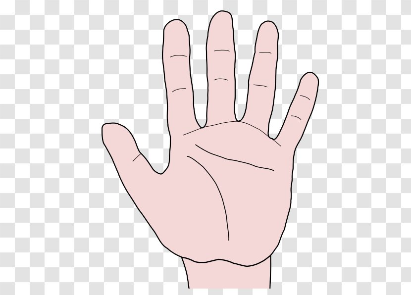 Hand Finger Palm Clip Art - Cartoon - Hands Touching Transparent PNG