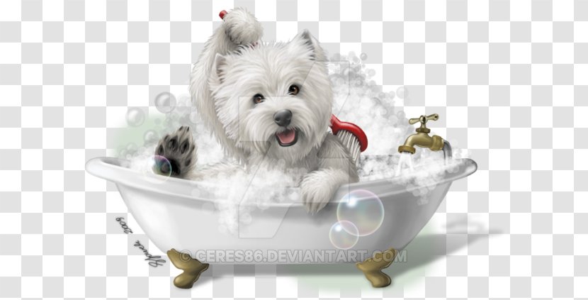 West Highland White Terrier Cairn Maltese Dog Yorkshire Smooth Fox - Puppy Transparent PNG