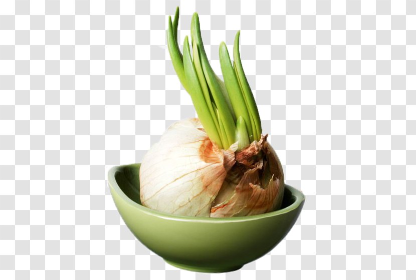 Garlic Bread Scallion Onion Crispy Fried Chicken - Vegetarian Food Transparent PNG