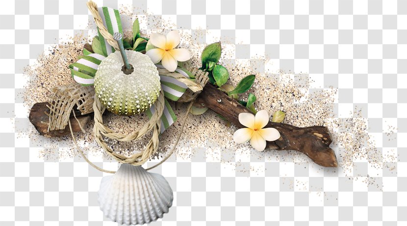 Sea Clip Art - Floral Design Transparent PNG