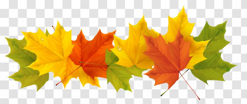 Spain Weather Season Spanish Winter - Transparent Fall Leaves Picture Transparent PNG