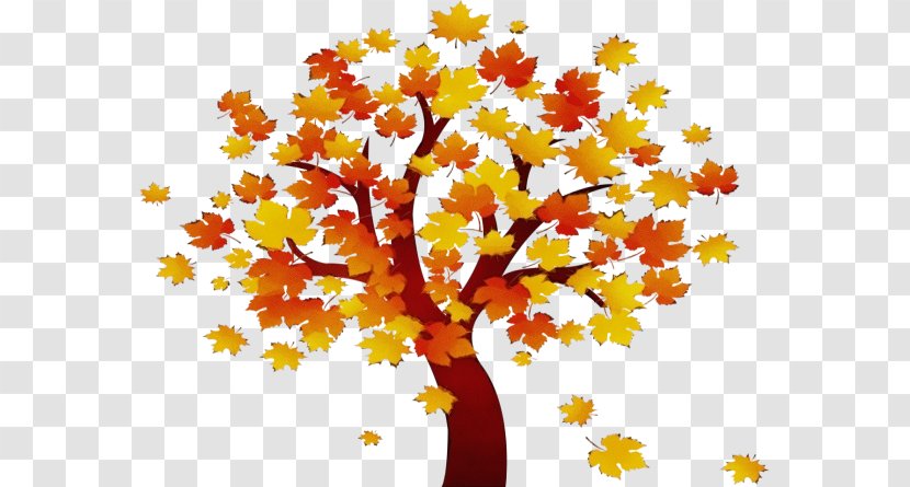 Autumn Tree Silhouette - Flower - Deciduous Maple Transparent PNG