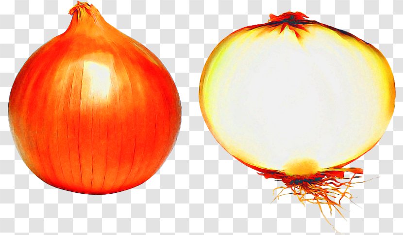 Web Design - Plant - Still Life Photography Pearl Onion Transparent PNG