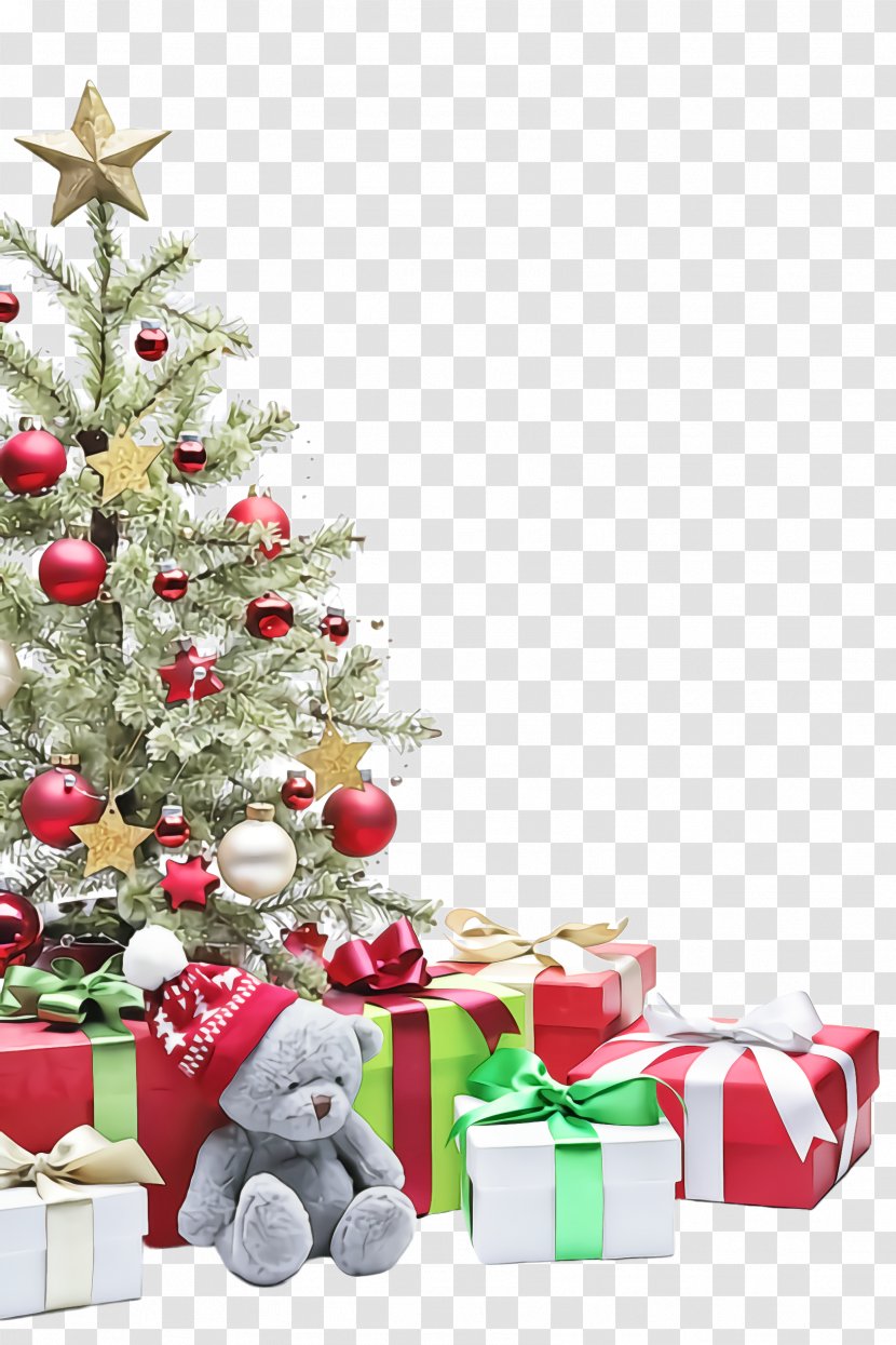 Christmas Tree - Colorado Spruce - Interior Design Transparent PNG