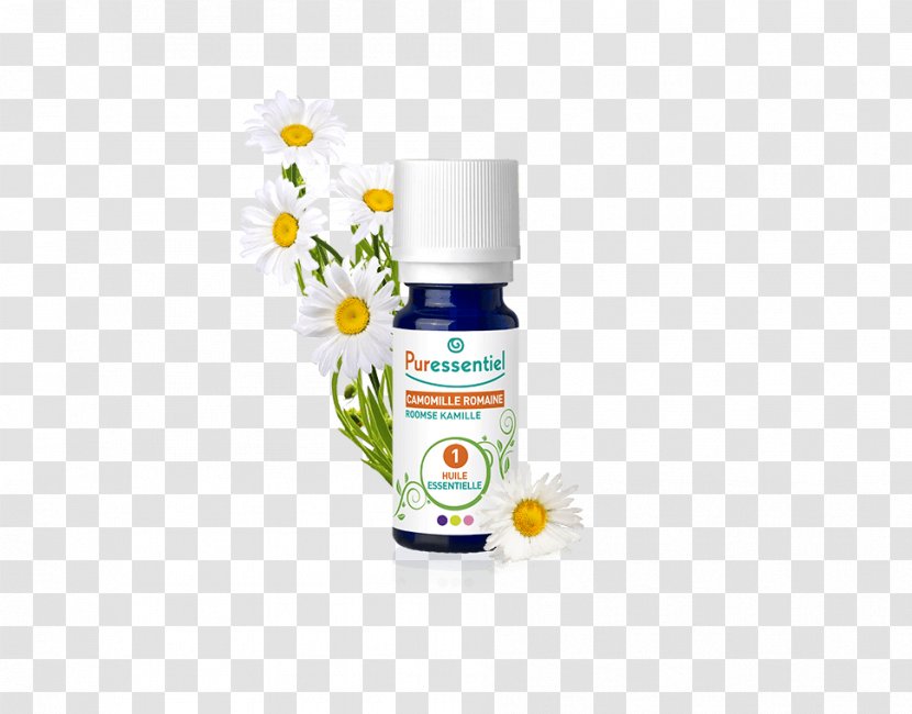 Essential Oil Pharmacy Aroma Eucalyptus Radiata - Water - Chamaemelum Nobile Transparent PNG