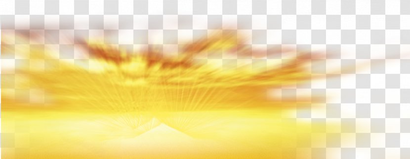 Yellow Close-up Sunlight Wallpaper - Closeup - Sunset Glow Transparent PNG