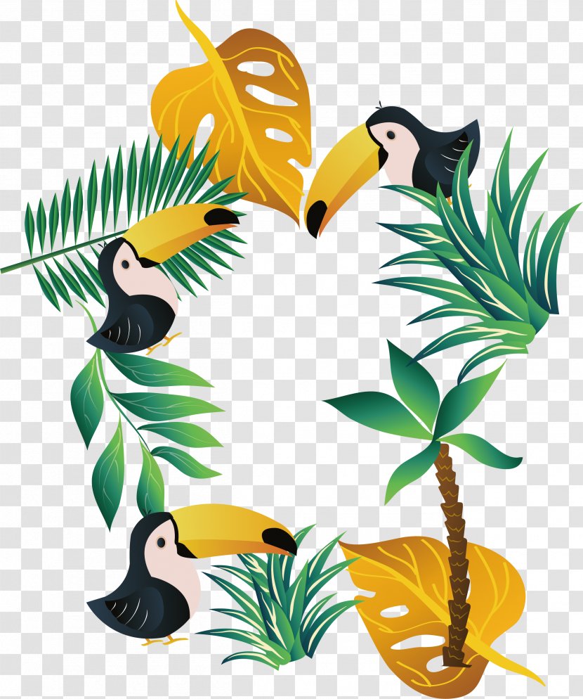 Plant Euclidean Vector Conifers - Beak - Summer Poster Transparent PNG