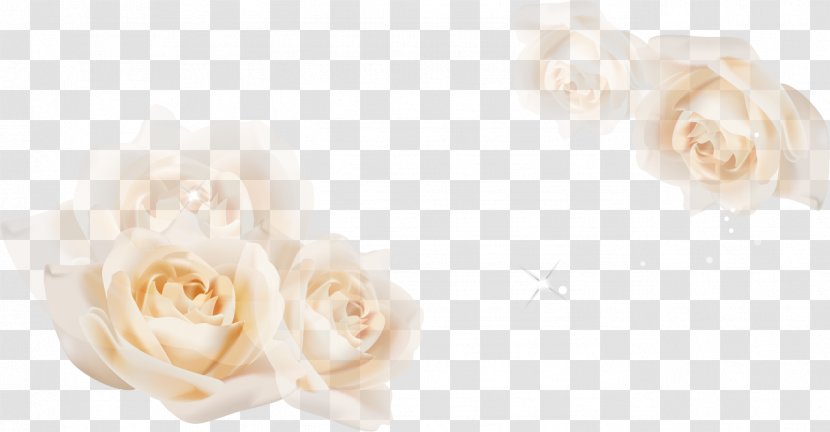 Garden Roses Floral Design Cut Flowers Flower Bouquet - White Transparent PNG