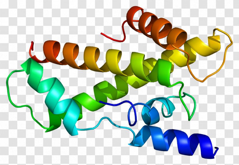 TAF11 Transcription Factor II D TATA-binding Protein - Rna Polymerase Ii Transparent PNG