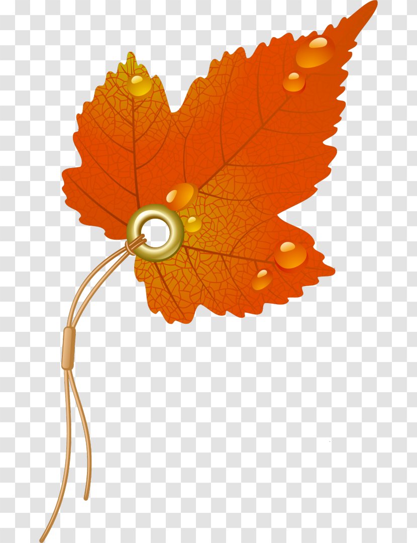 Autumn Leaf Color - Invertebrate Transparent PNG