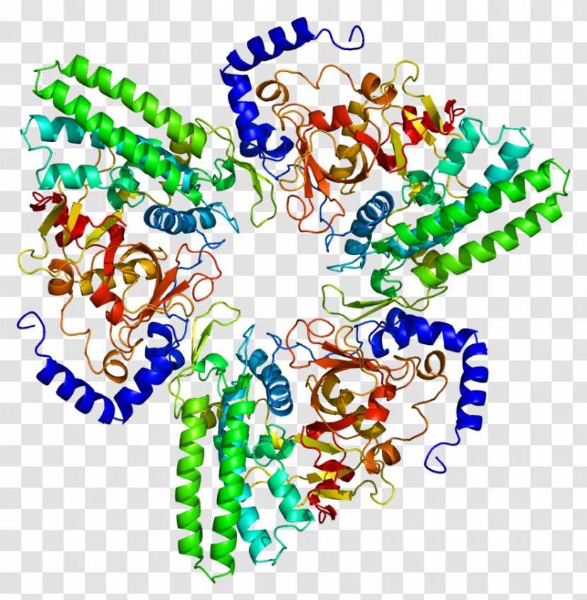 Bleomycin Hydrolase Enzyme Protein Protease - Text - Precursor Transparent PNG
