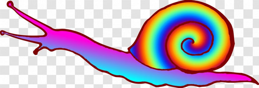 Snail Gastropods Caracol Line & Form Clip Art - Slug Transparent PNG