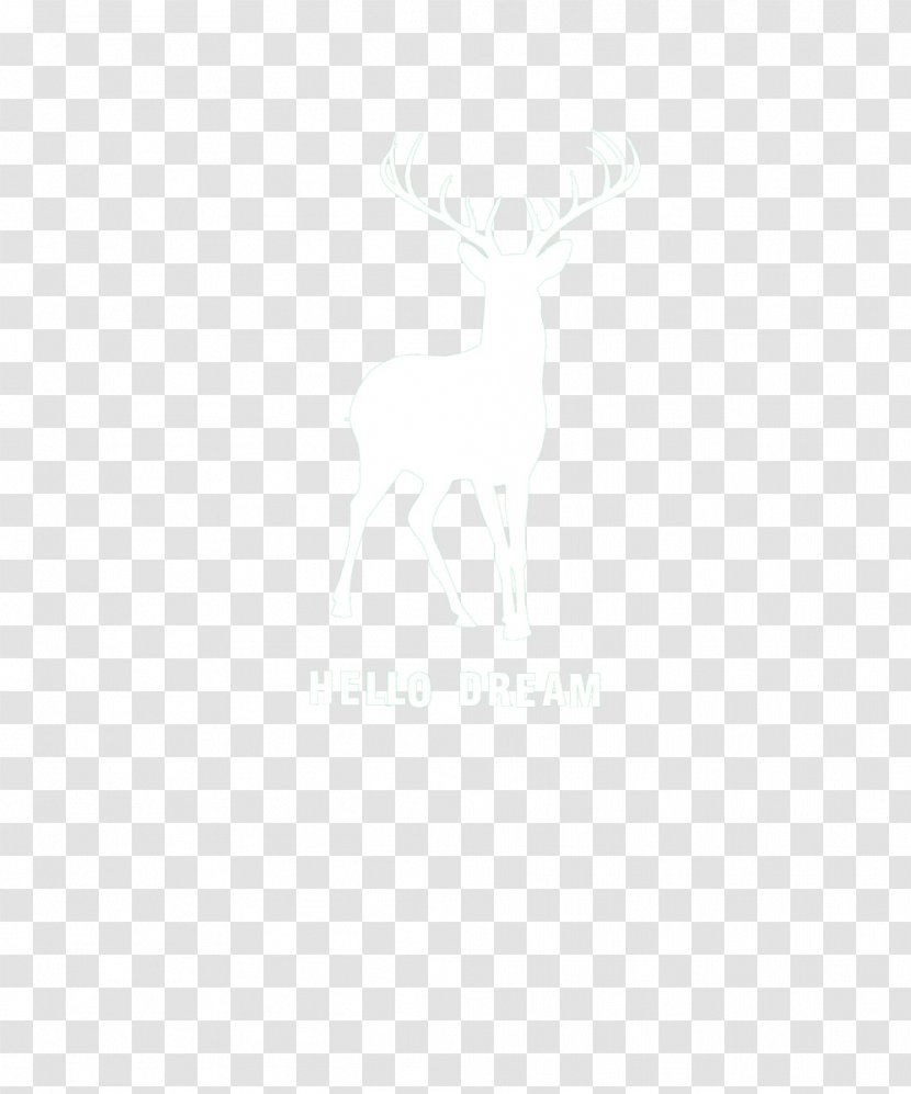 Black And White Line Angle Point - Deer Transparent PNG