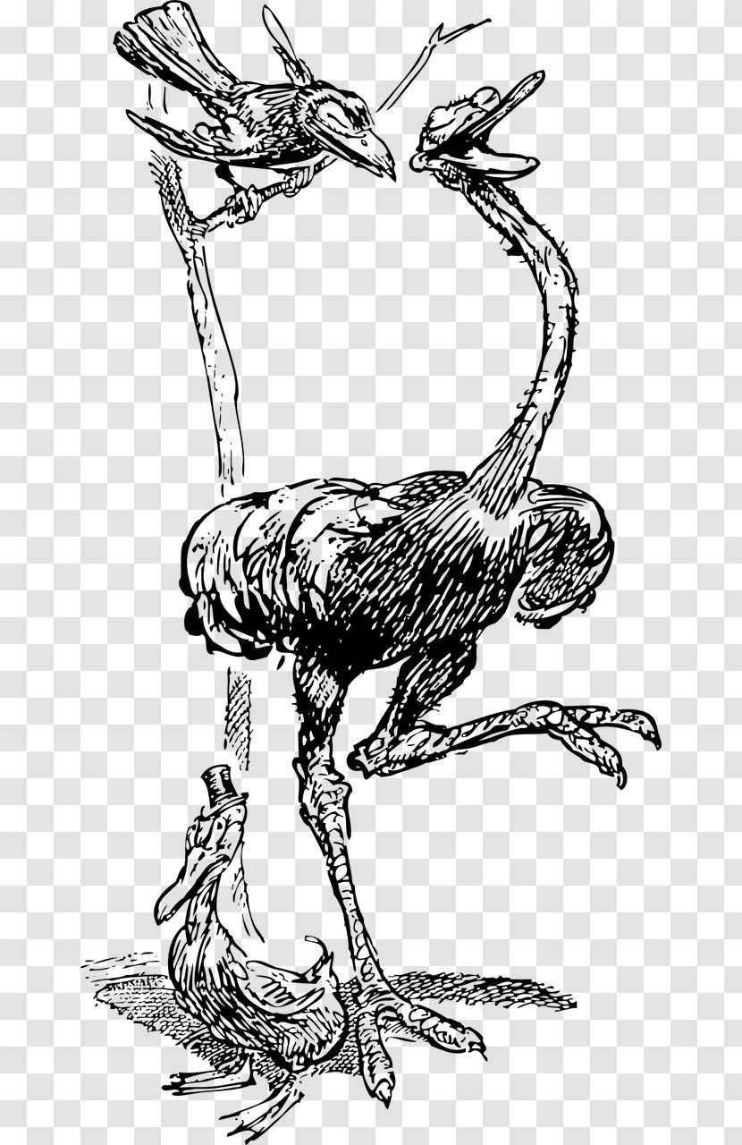American Crow Bird Common Ostrich Raven Clip Art Transparent PNG