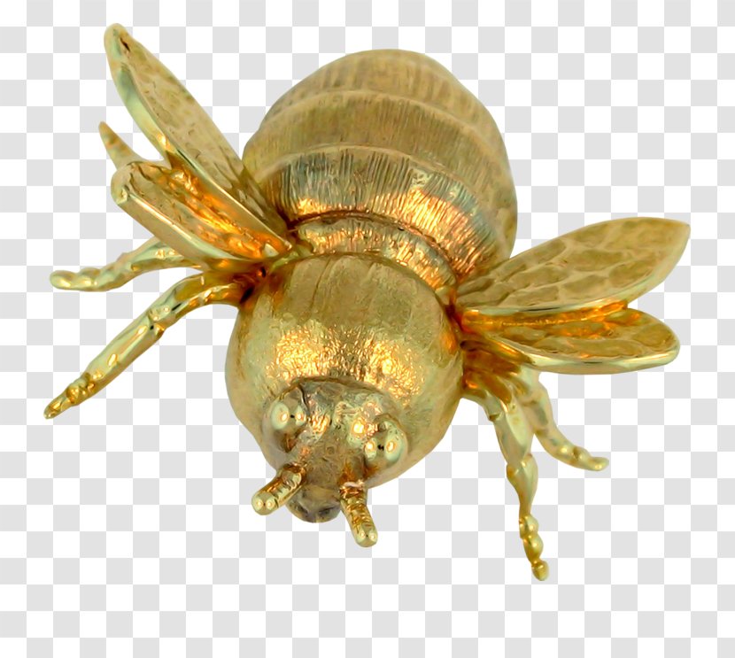 Bee Insect Clip Art - Organism - Golden Transparent PNG