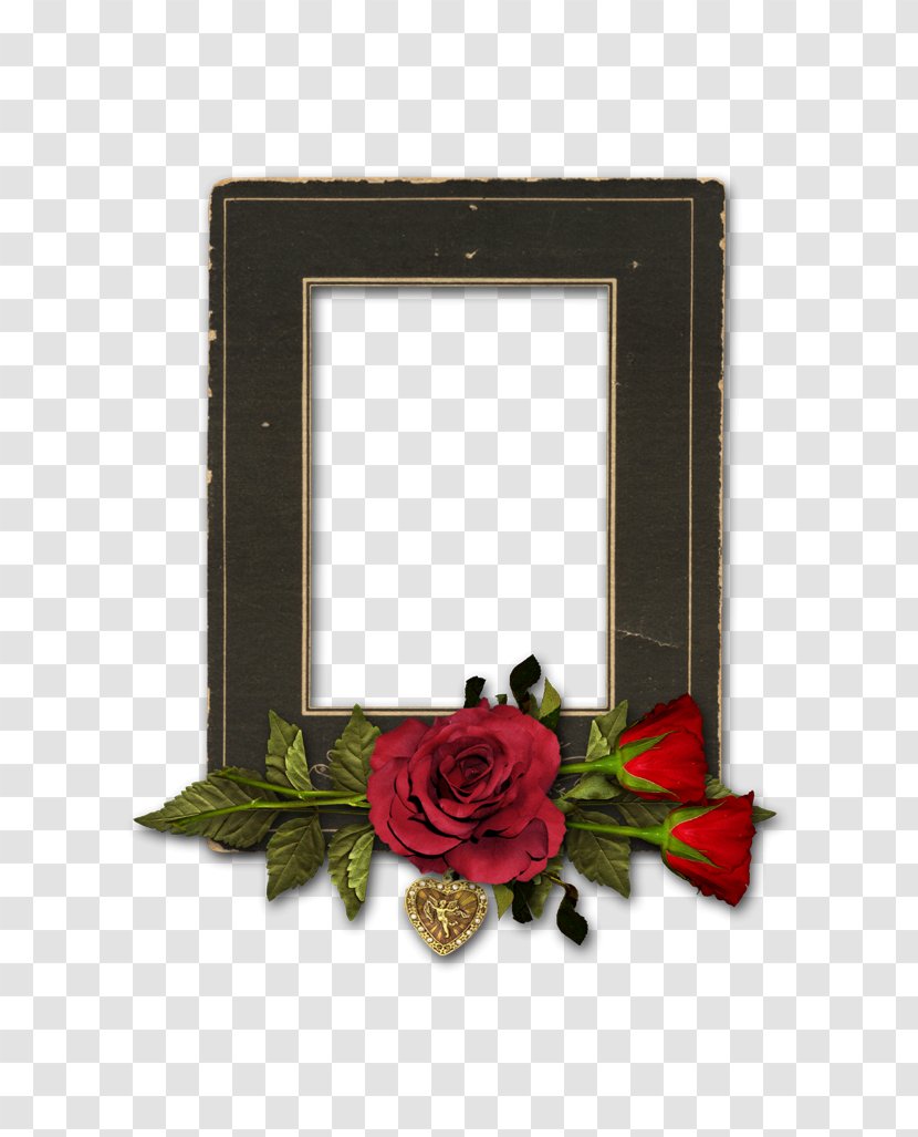 Picture Frames The Happiness Equation: Want Nothing + Do Anything = Have Everything Blog Floral Design Daum - Cut Flowers - Piza Transparent PNG
