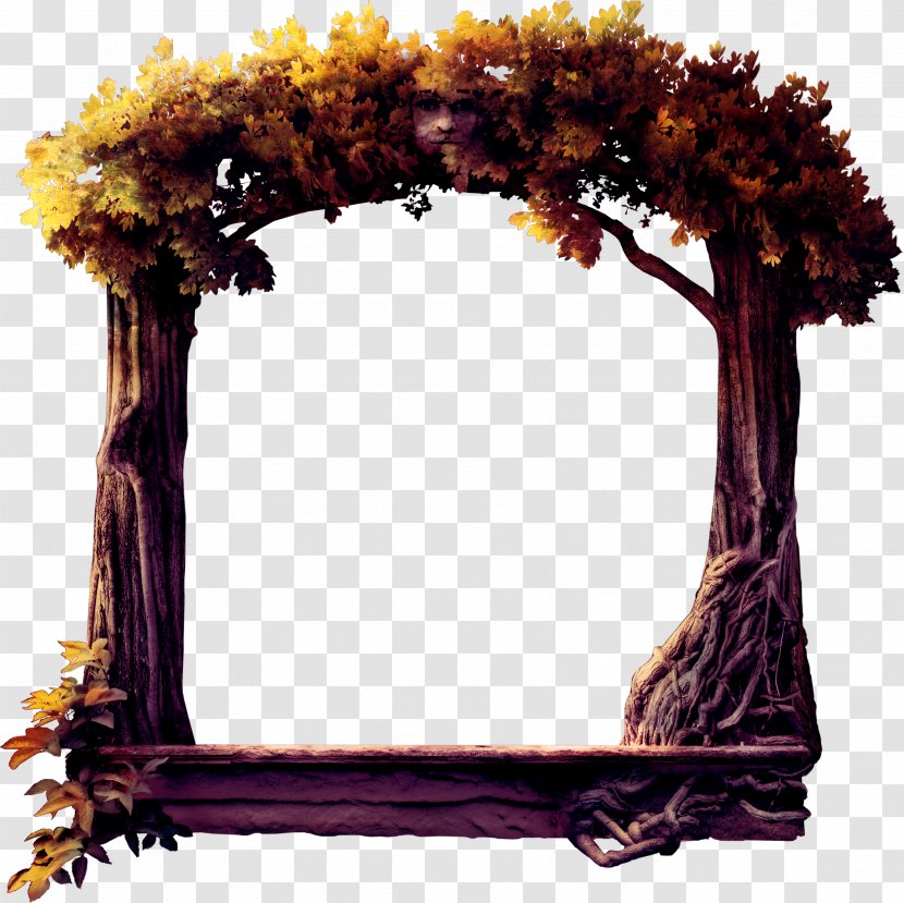 Tree Clip Art - Digital Media - Autumn Transparent PNG