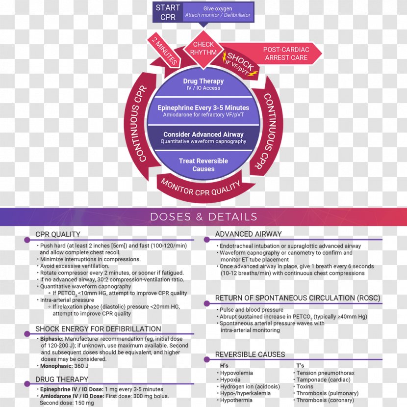 Advanced Cardiac Life Support Algorithm Arrest Basic American Heart Association - Brand Transparent PNG