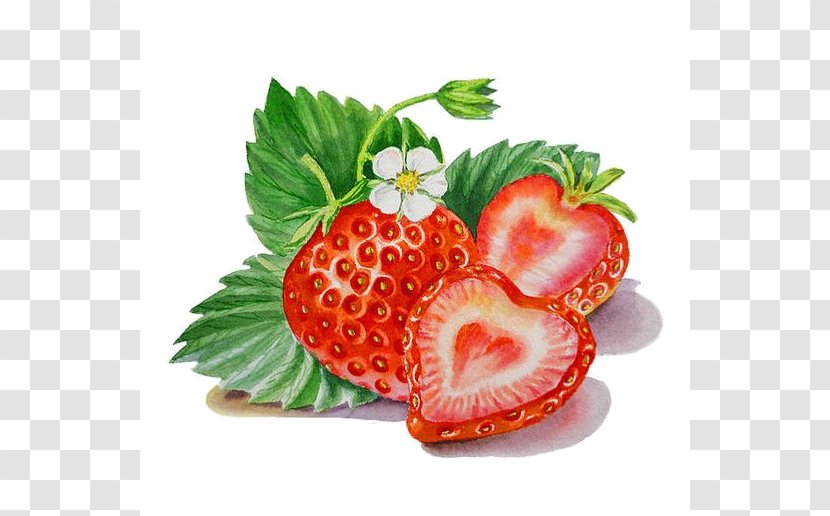 Watercolor Painting Strawberry Artist - Superfood Transparent PNG