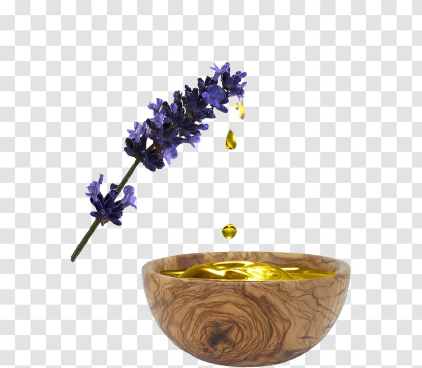 English Lavender Facial Mask Face Herb - Painter Transparent PNG