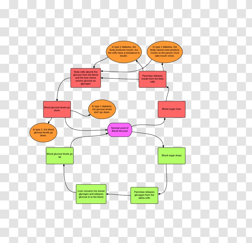 Brand Diagram - Material - Design Transparent PNG